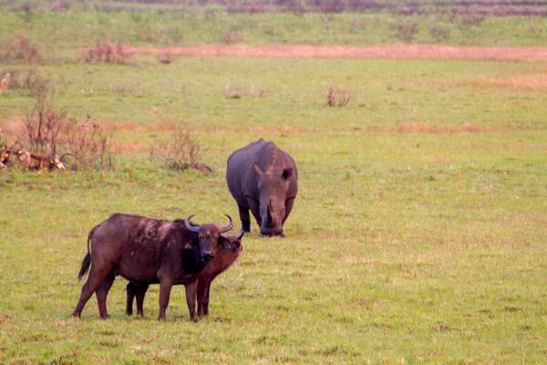 20120802   Sudafrica 0776